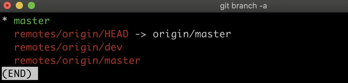 git branch -a